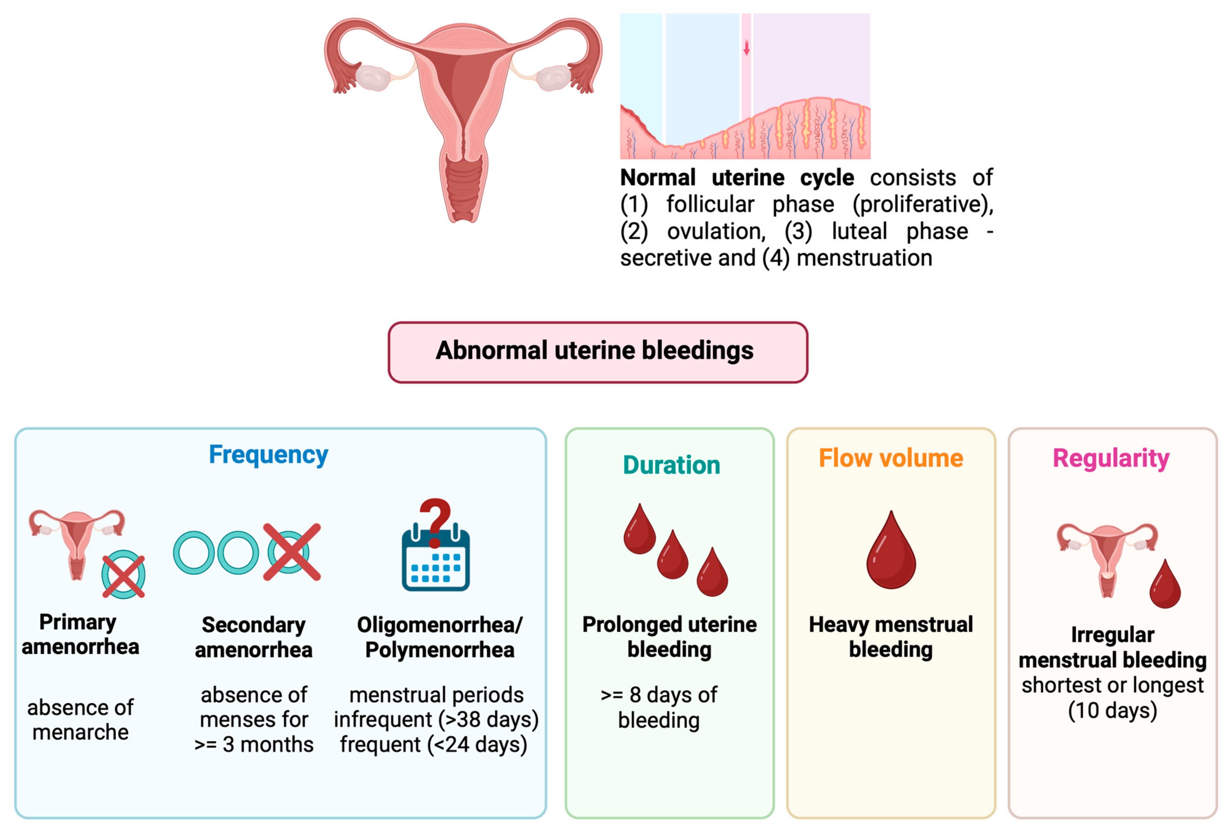 Menstrual Disorders Diagram